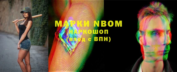 МДПВ Дмитриев