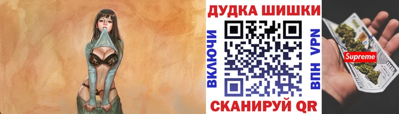 Купить закладки  Электросталь  Шишки марихуана индика 